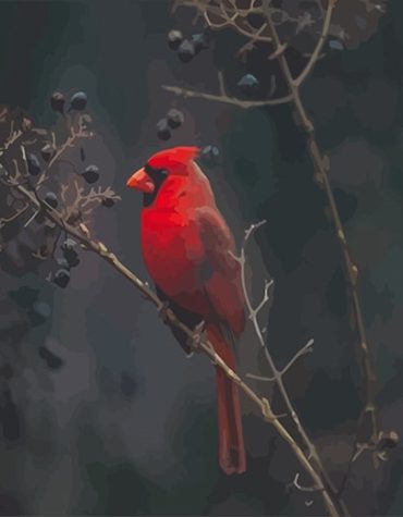Red Cardinal Paint By Numbers