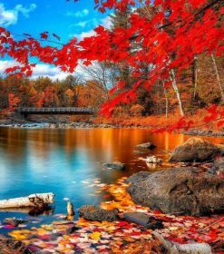 Red Scenic Lake and Forest Paint By Numbers