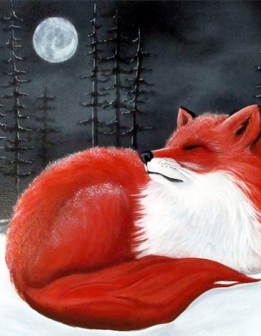 Red Fox Winter Scene Paint By Numbers