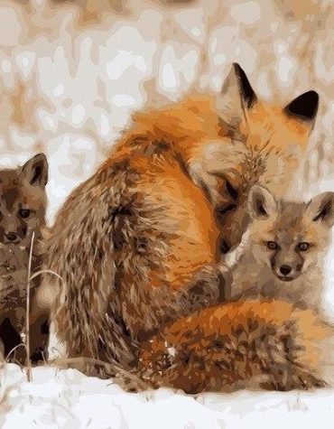 Red Fox in Snowy Landscape Paint By Numbers
