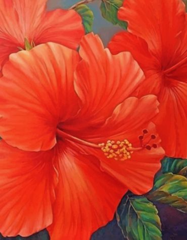 Red Hibiscus Flowers Paint By Numbers