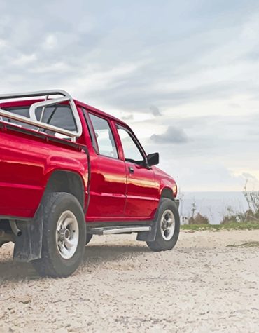 Red Truck Enthusiast's Joy Paint By Numbers
