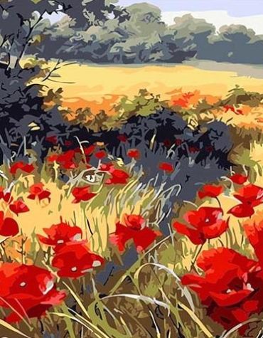 Red Poppy Fields Paint By Numbers