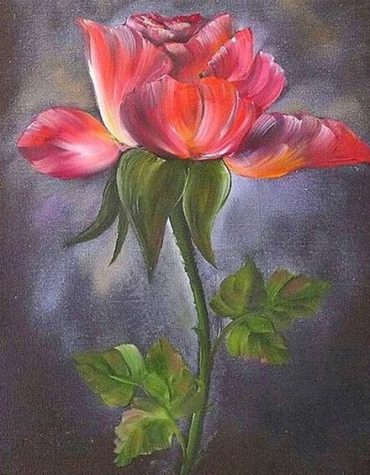 Red Rose Paint By Numbers