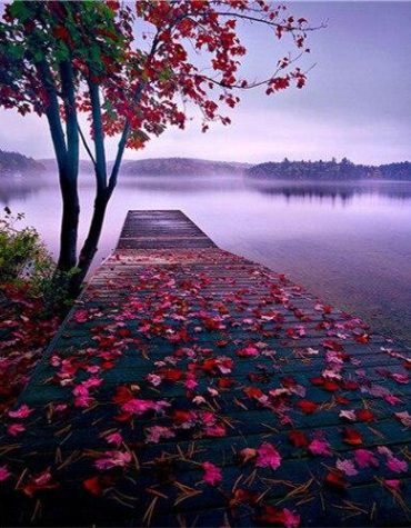 Red Trees Lake Scene Paint By Numbers