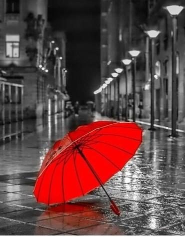 Red Umbrella Black and White Paint By Numbers