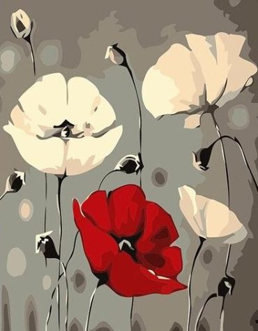 Red and White Poppies Paint By Numbers