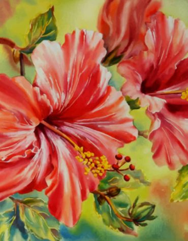 Red Hibiscus Floral Paint By Numbers
