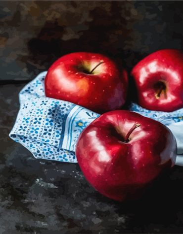 Red Apple Still Life Paint By Numbers