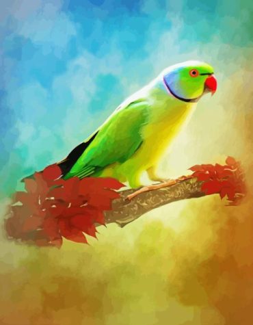 Colorful Red Neck Parrot Paint By Numbers