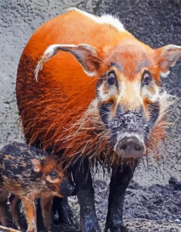Red River Hog Wildlife Paint By Numbers