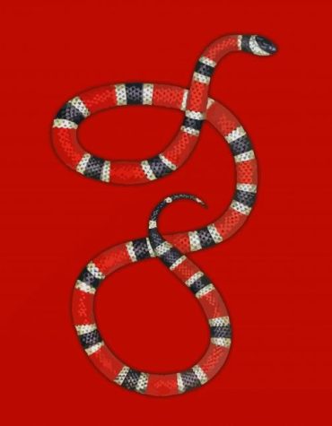 Vibrant Red Snake Paint By Numbers