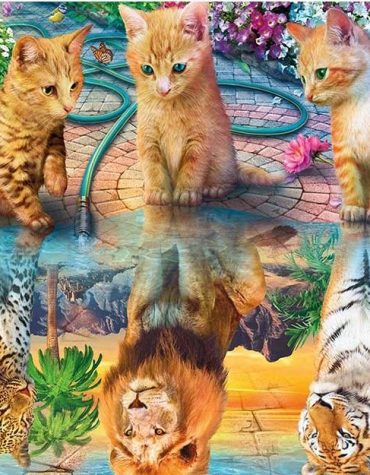 Big Cats Reflection Paint By Numbers