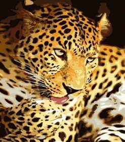 Leopard Animal Art Paint By Numbers