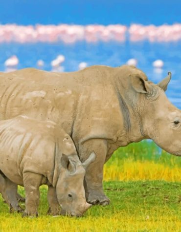 Rhinoceros African Wildlife Paint By Numbers