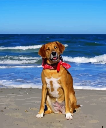 Rhodesian Ridgeback Beach Adventure Paint By Numbers