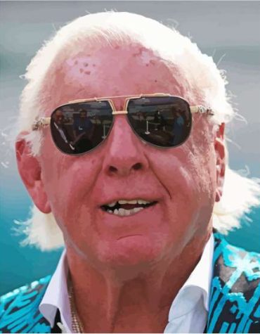 Ric Flair Famous Wrestler Paint By Numbers