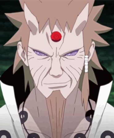 Rikudo Sennin Anime Art Paint By Numbers