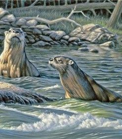 River Otters Wildlife Paint By Numbers