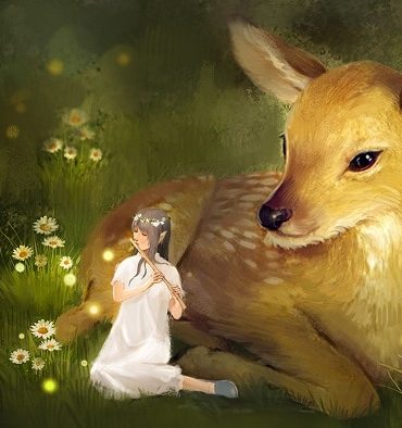 Majestic Roe Deer Paint By Numbers