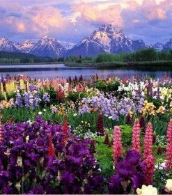 Green Fields Romantic Paint By Numbers