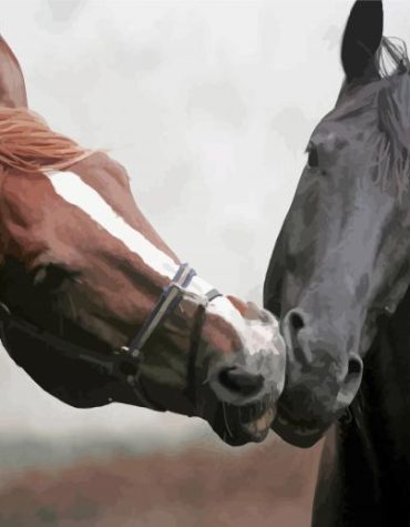 Romantic Horses Lover Paint By Numbers