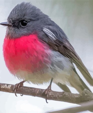 Rose Robin Bird Paint By Numbers