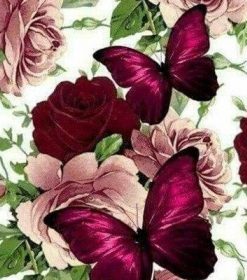 Roses and Butterfly Paint By Numbers