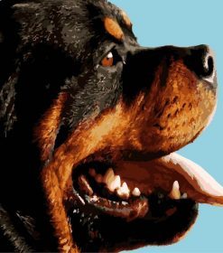 Rot Dog Animal Paint By Numbers