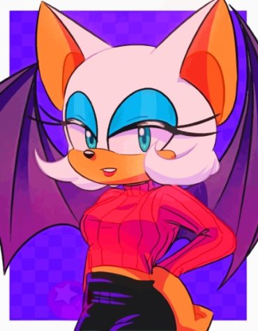 Rouge The Bat Adventure Paint By Numbers