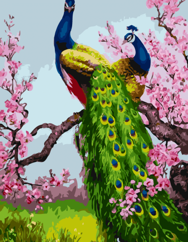 Royal Peacock Birds Paint By Numbers