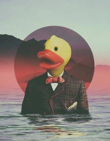 Rubber Ducky Picture Paint By Numbers