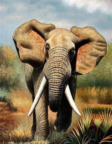 Majestic Bull Elephant Paint By Numbers