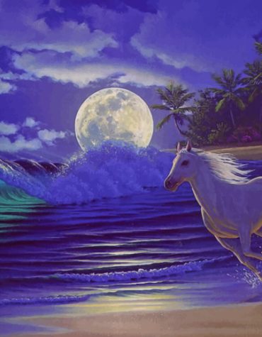 Beach Horse Gallop Paint By Numbers