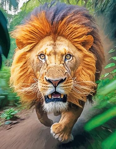 Majestic Running Lion Paint By Numbers