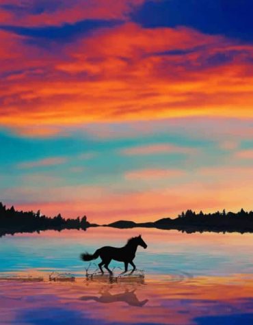 Majestic Horse Silhouette Paint By Numbers