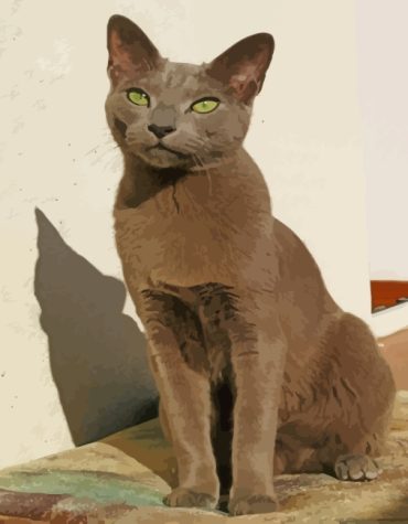 Russian Blue Kitten Paint By Numbers