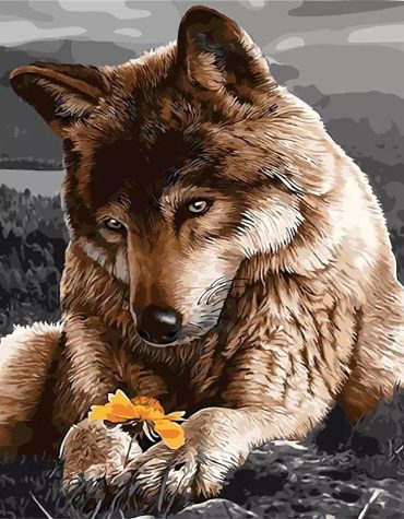 Melancholy Wolf Paint By Numbers