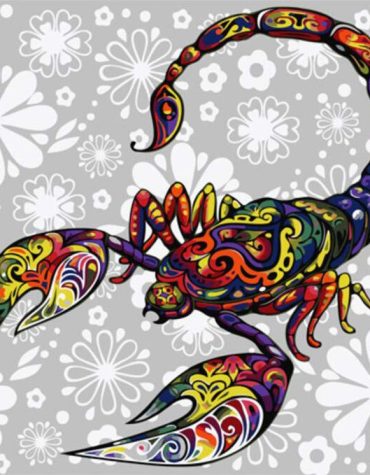Colorful Scorpion Paint By Numbers