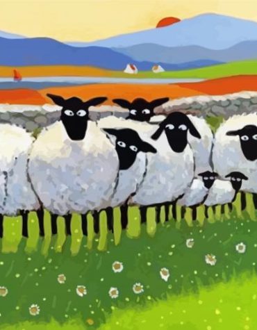Scotland Sheep Characters Paint By Numbers