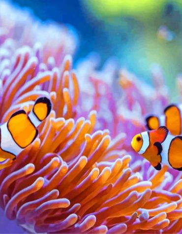 Colorful Sea Anemones Paint By Numbers