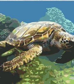 Sea Turtle Seascape Paint By Numbers