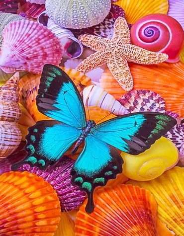 Seashells Blue Butterfly Paint By Numbers