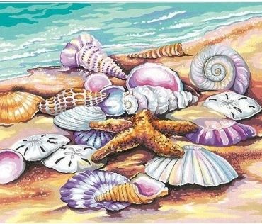 Seaside Shellscape Paint By Numbers