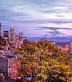 Seattle Space Needle Paint By Numbers