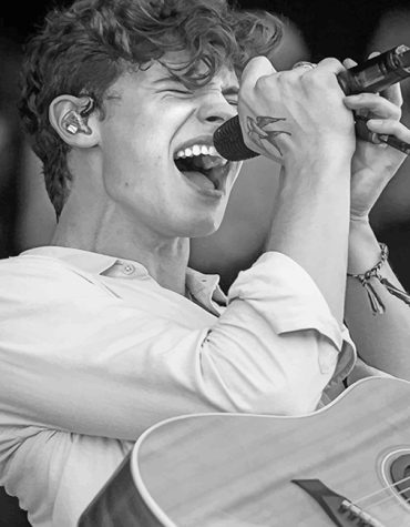 Shawn Mendes Monochrome Melody Paint By Numbers