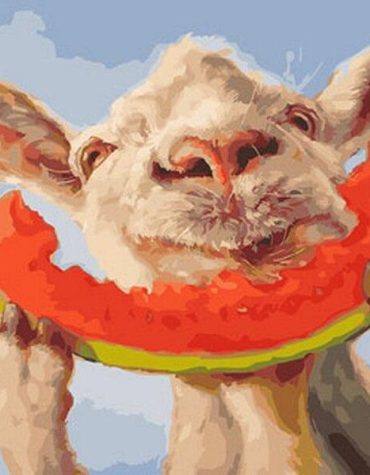 Sheep and Watermelon Paint By Numbers