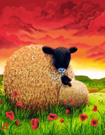 Sheep in Red Poppy Paint By Numbers