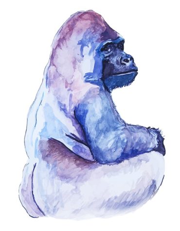 Silverback Gorilla Masterpiece Paint By Numbers