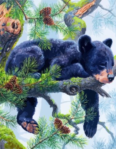Sleepy Black Bear Paint By Numbers